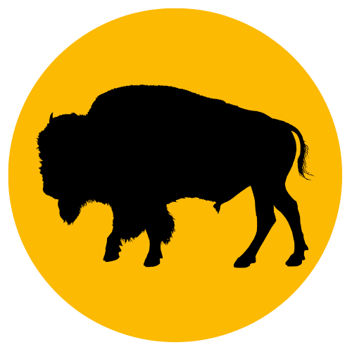 Writer: Buffalo Latino Village
