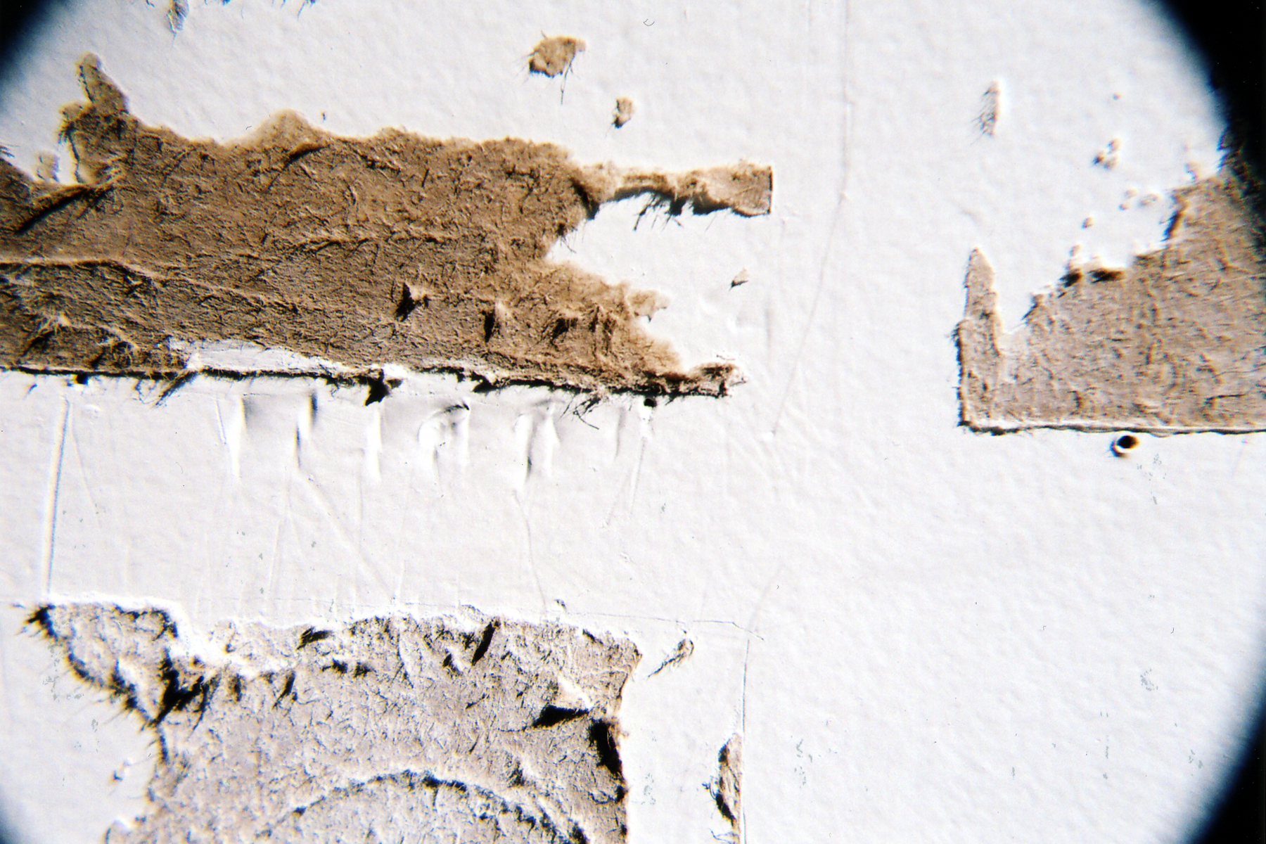 (re)moved detail 11
