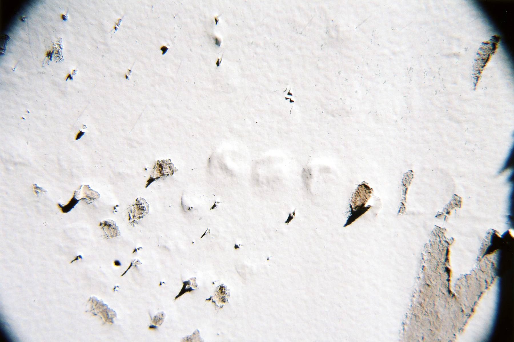 (re)moved detail 5