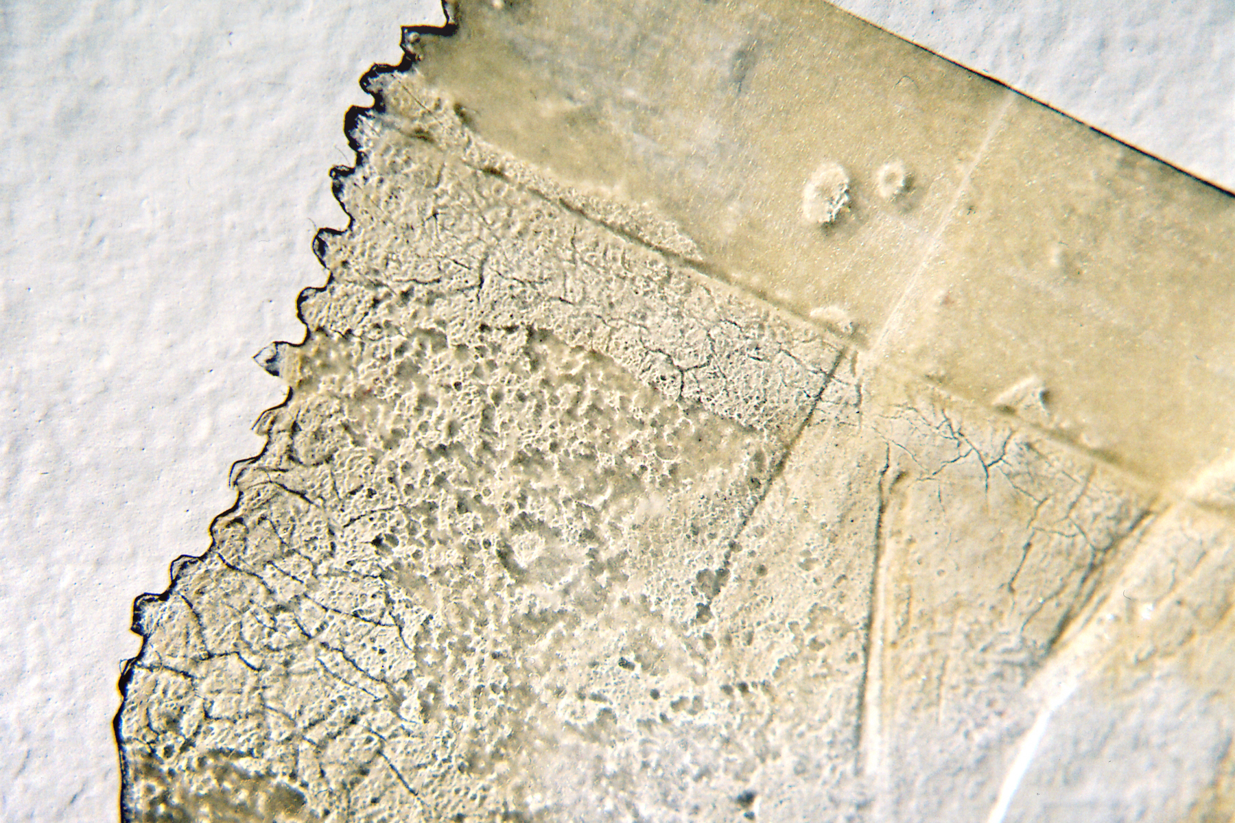 (re)moved detail 3