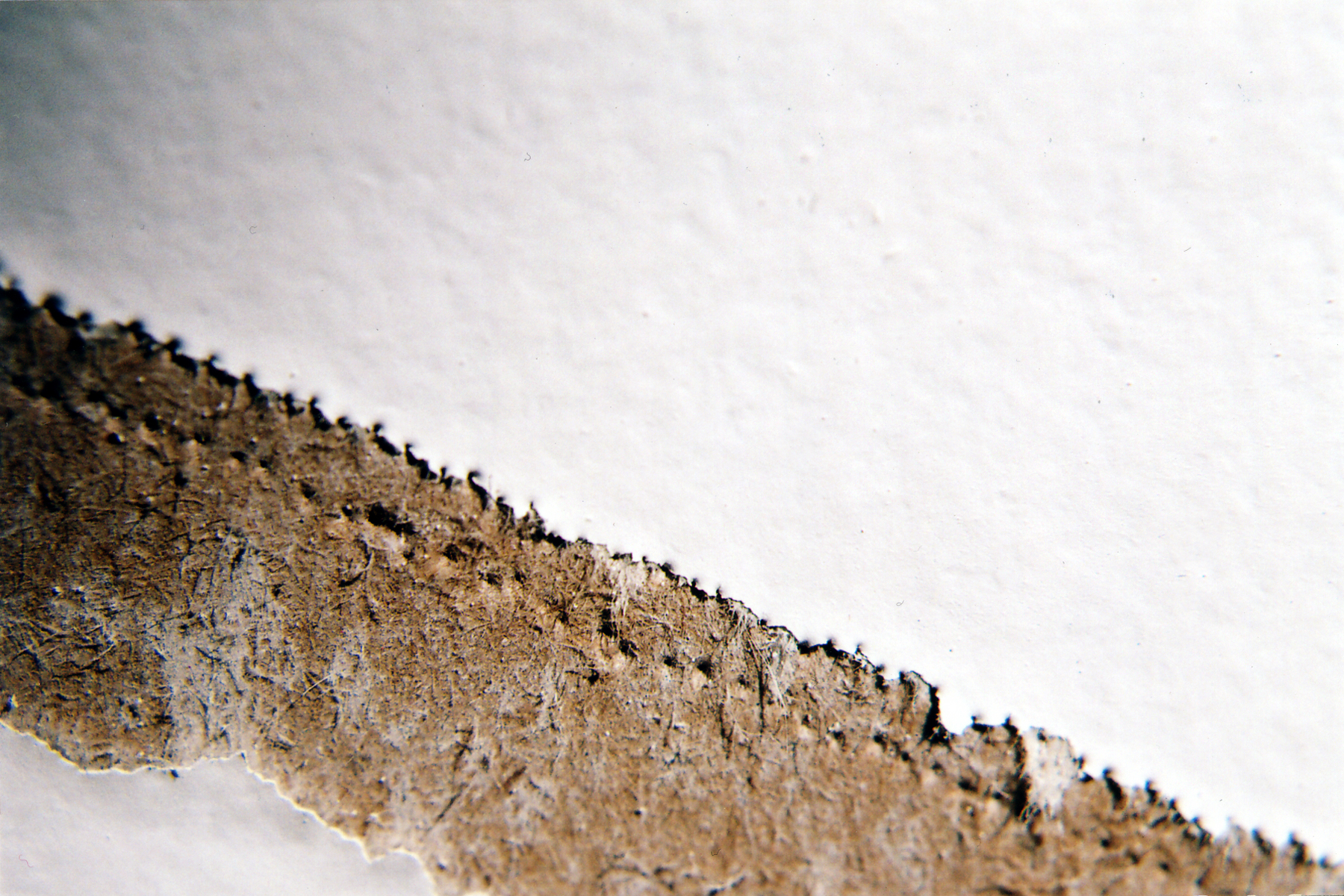 (re)moved detail 6