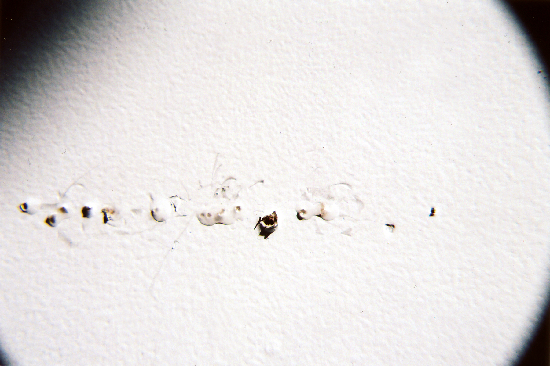 (re)moved detail 13