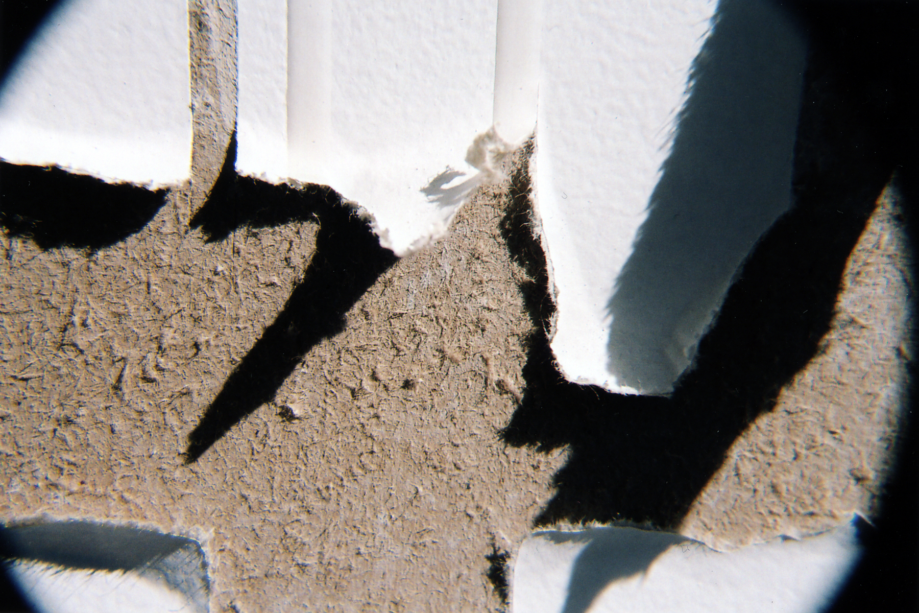 (re)moved detail 7