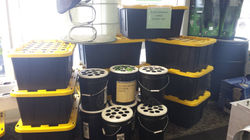 CLONER BUCKETS AND BUSSES