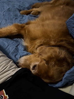 Mako bed closeup.jpg
