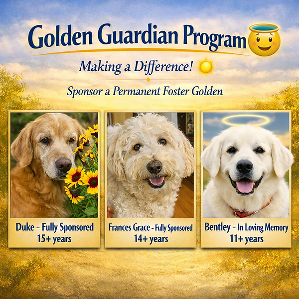 Golden Guardian Program.png