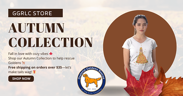 Fall 2025 Store sign.png