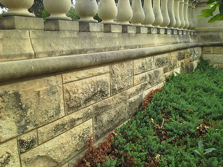 20160924_093851.jpg