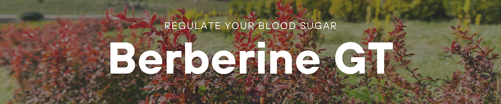 Red foliage with text "Regulate Your Blood Sugar: Berberine" overlaying the image. Green background creates a natural, health-focused vibe.