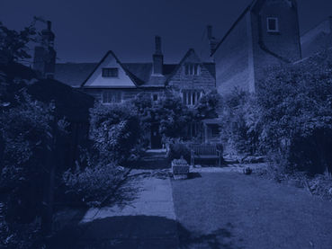 Nocturne in the Night Garden at Museum of East Dorset