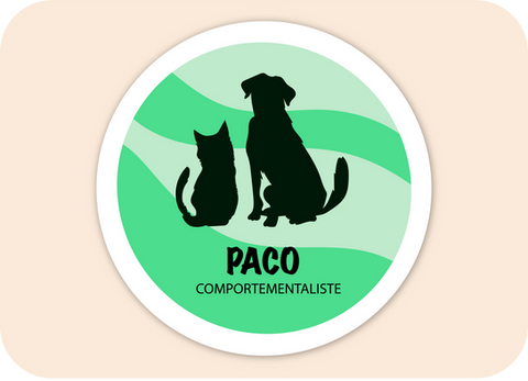 Création logo, création graphique, prestations graphiques