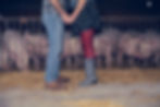 Down on the Farm