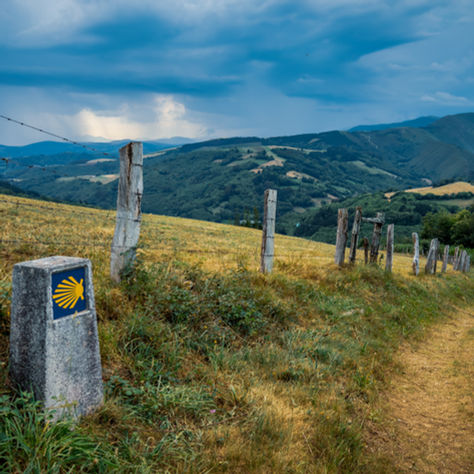 One of the most beautiful Camino stages