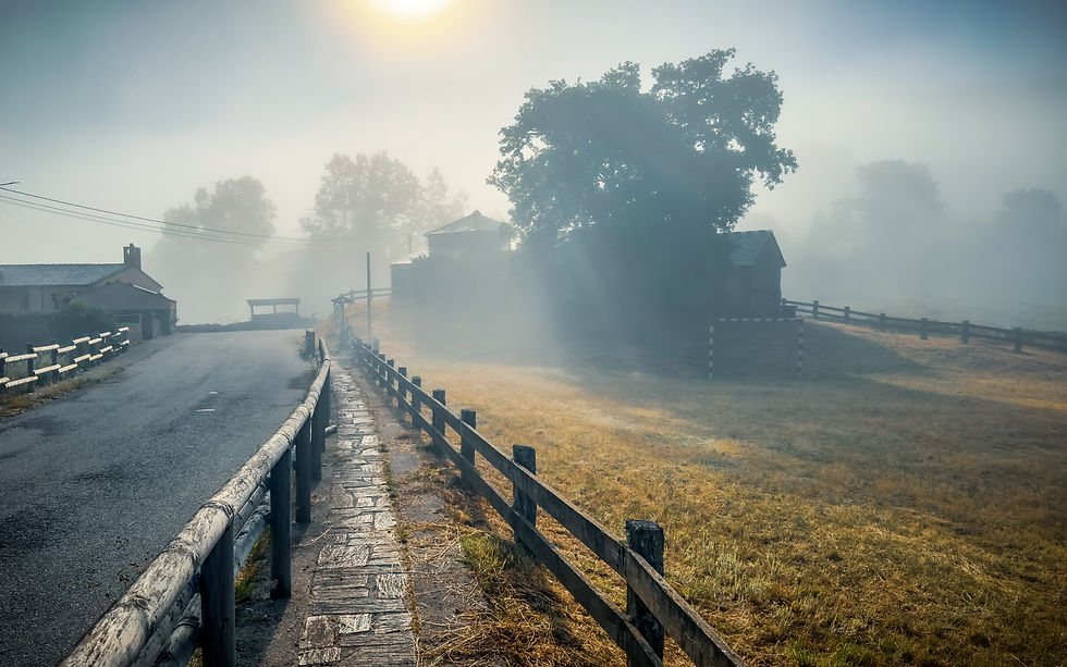 Morning fog near Berducedo