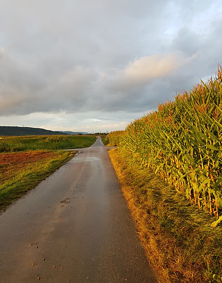 Weggabelung und Feldwege