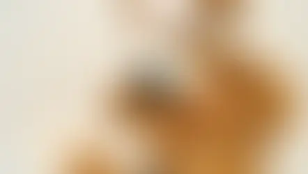 Teddybär mit Verbänden