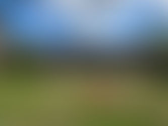 How Chair Rail Height Affects Cost, Durability, and Maintenance