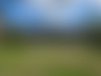 Building Trust: Why Choosing a Licensed Florida Contractor Matters