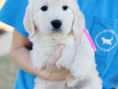 6 Week Photo Shoot