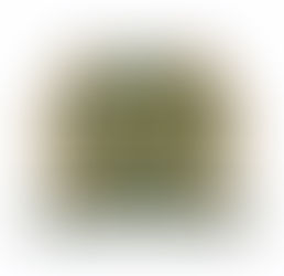 Celebrating Excellence: Julie Stewart and Jim McGillivray Honoured with PPBSO Life Membership Awards