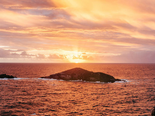 Trop sensible ou pas assez ? Le piège émotionnel de notre époque