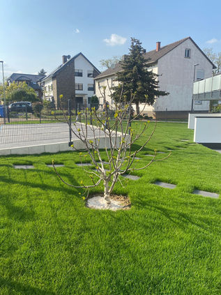 WhatsApp Image 2022-12-04 at 09.37.08 (3).jpeg