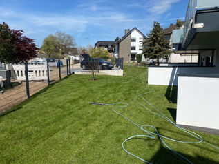 WhatsApp Image 2022-12-04 at 09.37.08 (7).jpeg