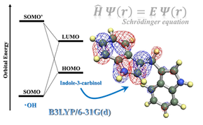 図_関.png
