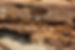 Termites are eating the wood of the hous