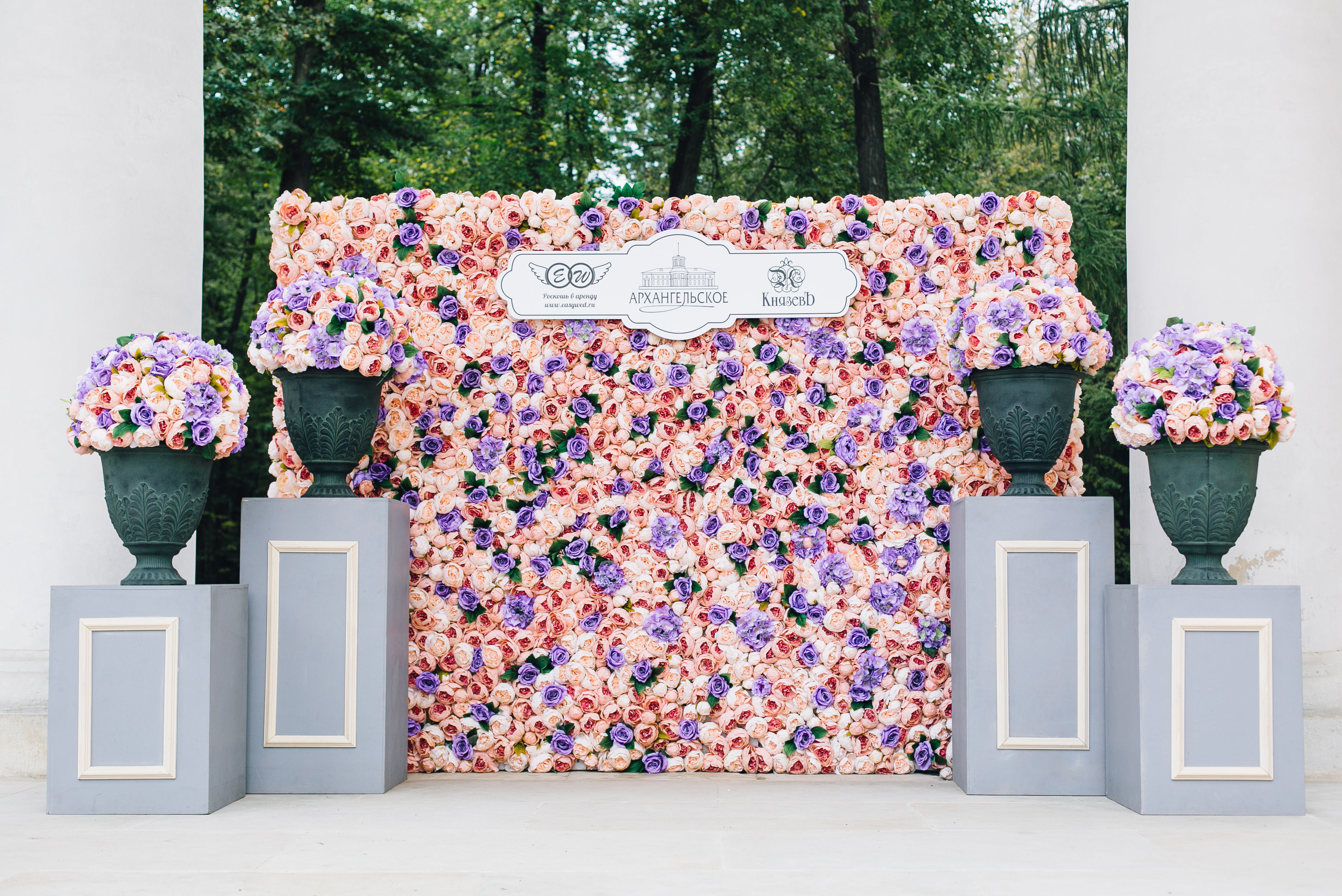 Стена из цветов Ренуар