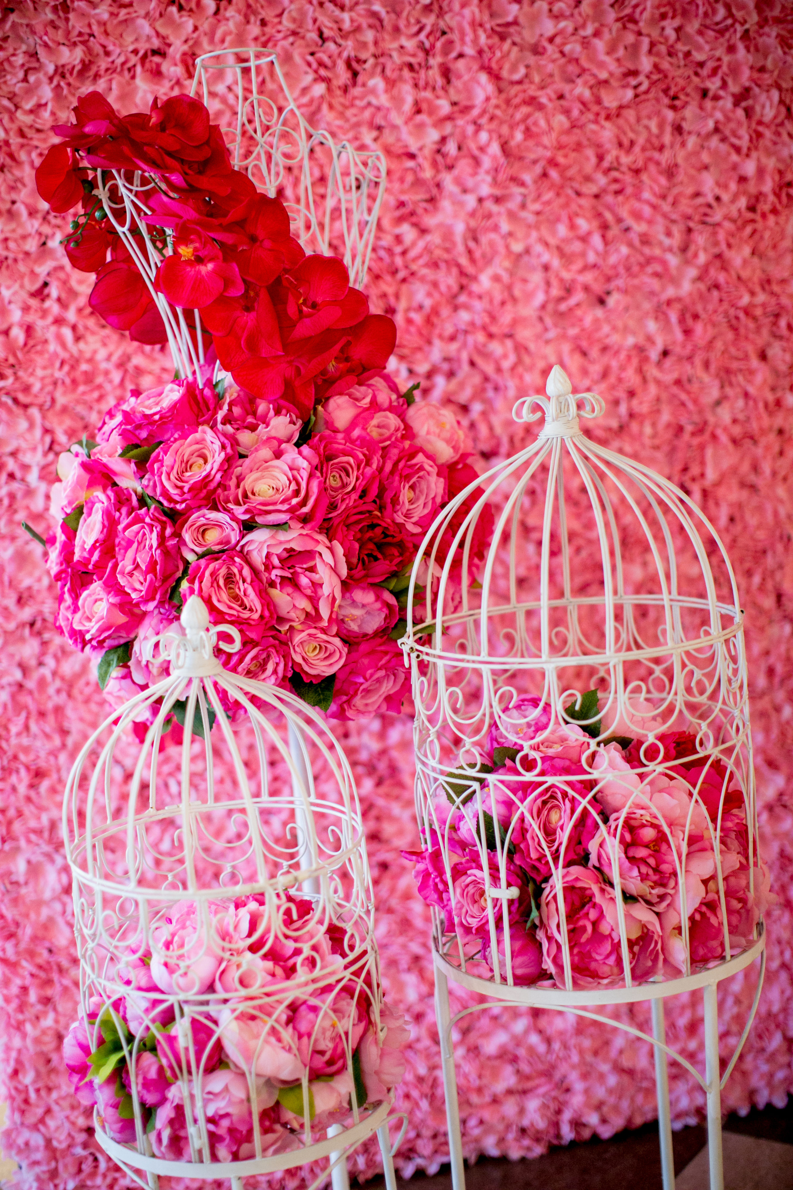 Клетки (2 шт.) Pinko Peony