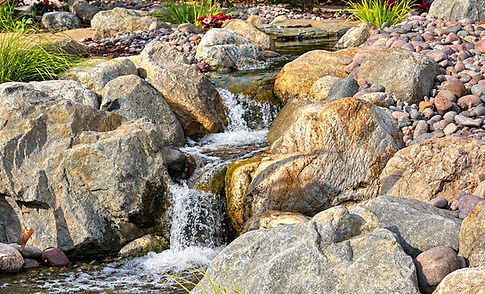 Naturalistic waterfall feeding into a breathtaking backyard water garden pond in Riverside, California