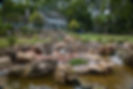 Custom Pondless Waterfall_04.jpg