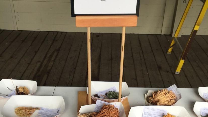 Demonstration Table.jpeg