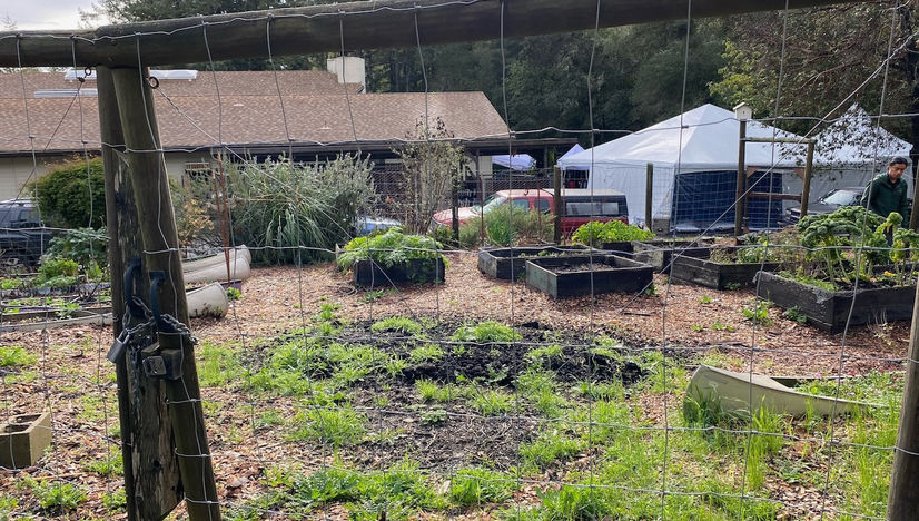 Garden.jpeg