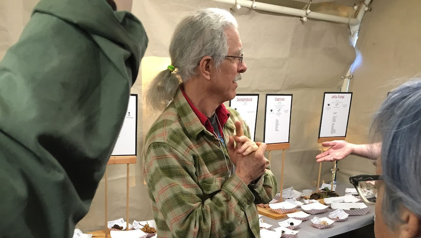 Mushroom Expert.jpeg