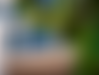 Powell Warns of Data Fog as Shutdown Skews Federal Reports