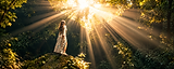 Mystical Forest Sunbeams.png