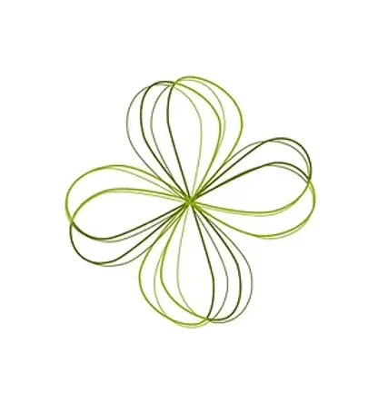 astridvaassen6.webp