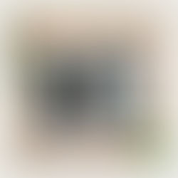 Do you live in a conservation area?