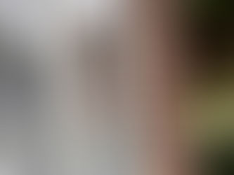 Step-by-step outline of how the glass in a double-glazed window is usually replaced: