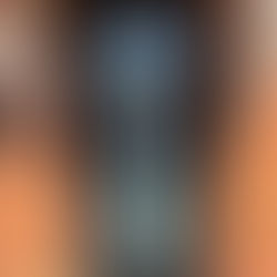 AJ Windows and Doors - SMARTS Designer Door