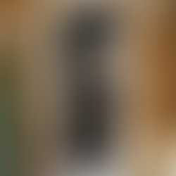 Single uPVC Entrance Doors