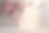 Cherry Blossom.PNG