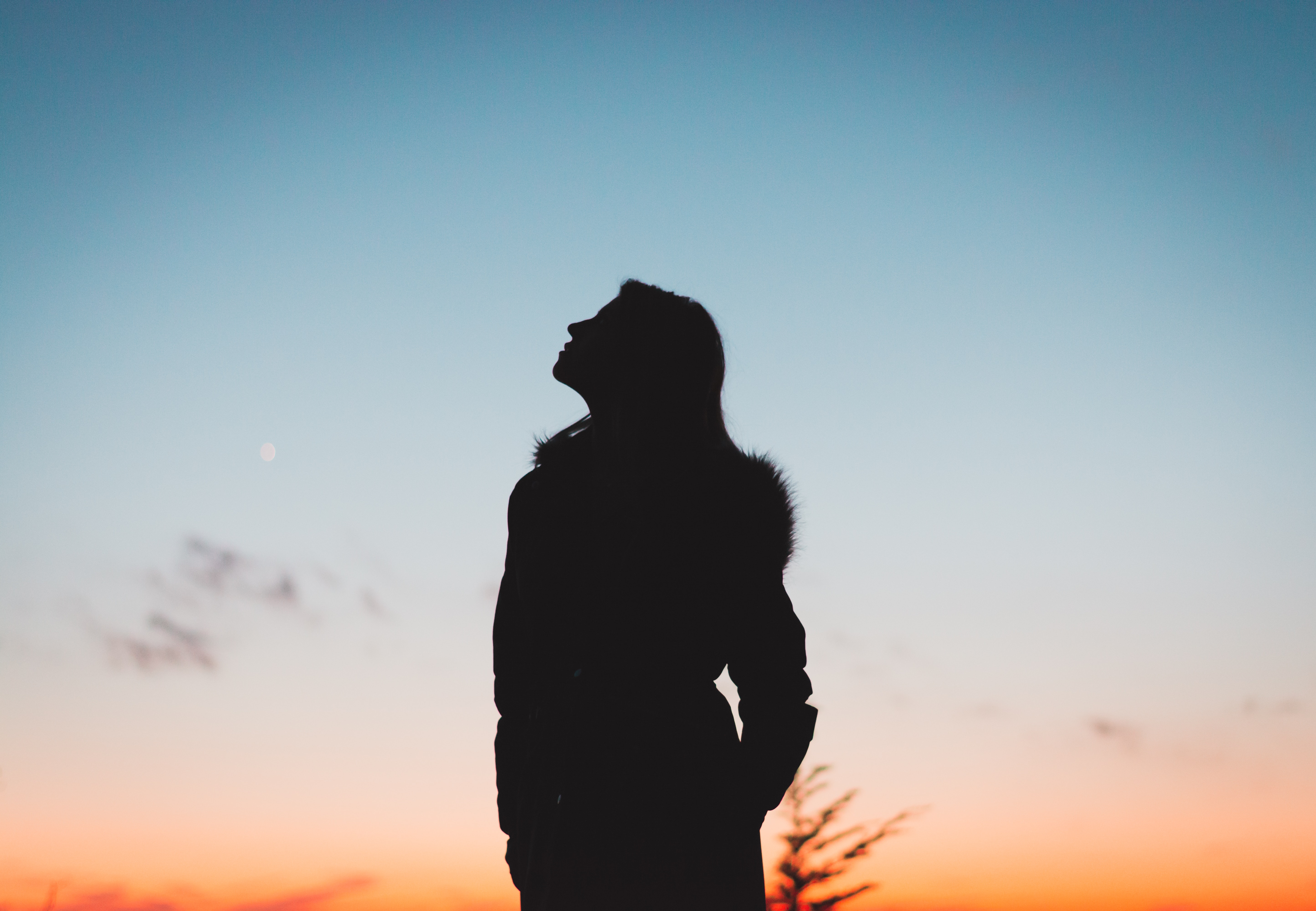 backlit-dawn-dusk-1027131