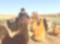 IMG_2241.jpeg