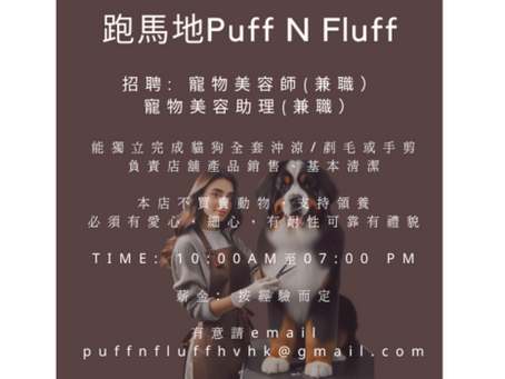 跑馬地Puff N Fluff 招聘: 寵物美容師(兼職)
