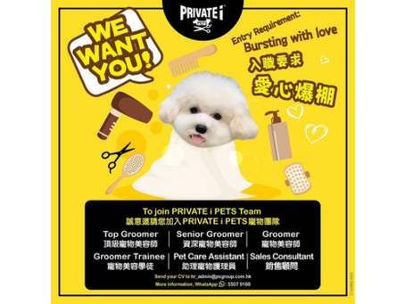 Private i Pets 寵物美容集團誠摯邀請您參加我們的工作團隊行列