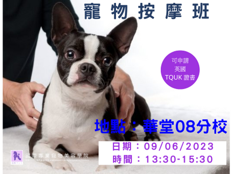 寵物按摩班【可申請英國TQUK證書】