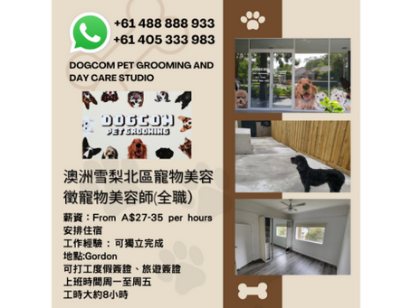 代POST:澳洲雪梨北區寵物美容店招聘寵物美容師(全職)✨
